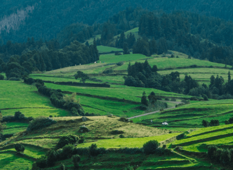 Customized Terceira Tour (Full Day)