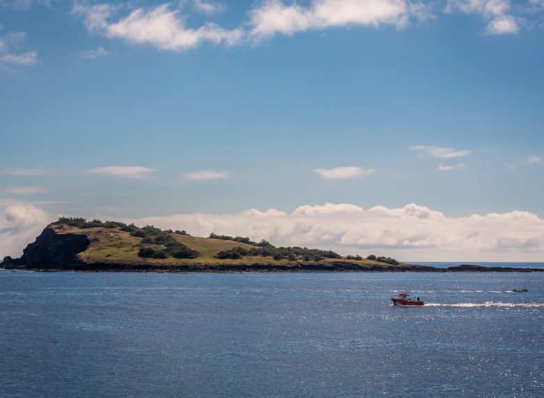 Boat Trip to Praia Islet