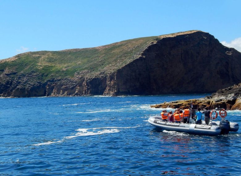Tour to the Cabras Islets