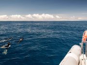 Snorkeling