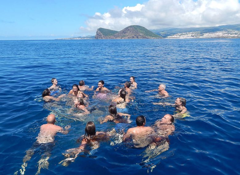 Swimming with Dolphins