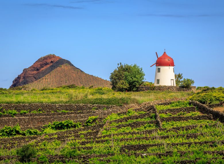 Customized Graciosa Tour (Half Day)