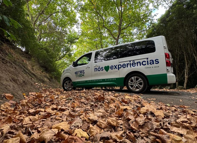 Transfers on Graciosa Island